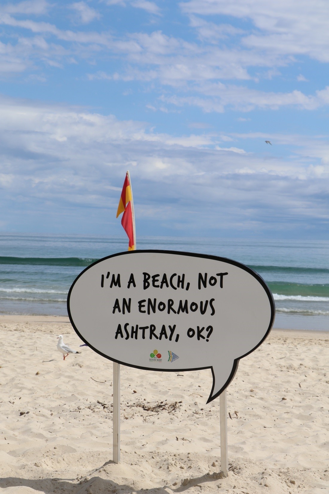 Signs posted on beach in Byron Shire